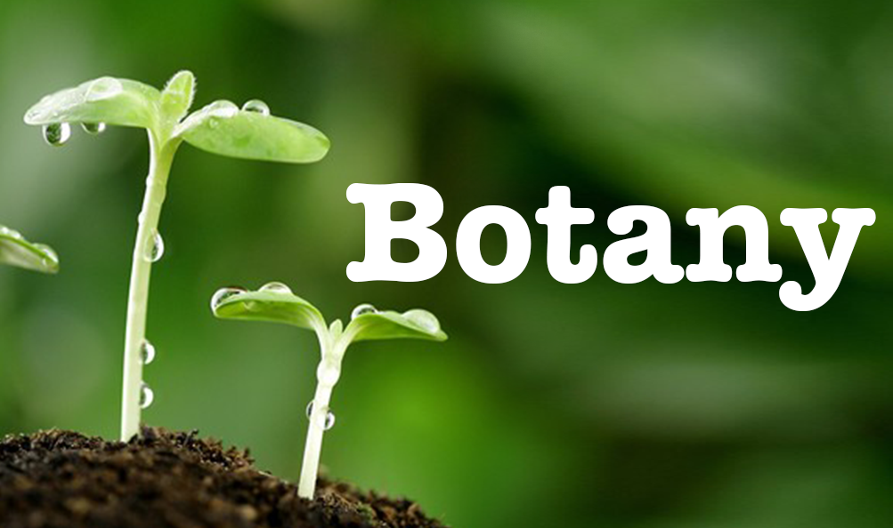 Botany WhatsApp Group Link