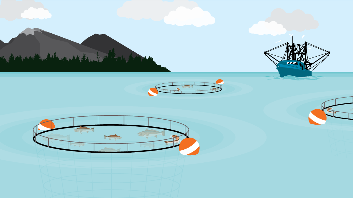 Fish Farming WhatsApp Group Link